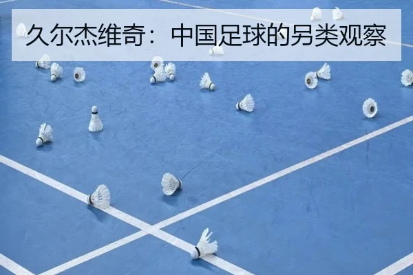 久尔杰维奇：中国足球的另类观察